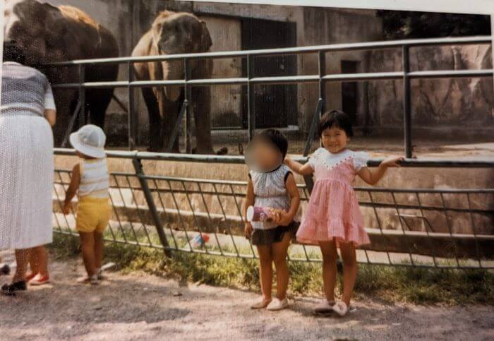 1981年（昭和56年）福岡市動物園のゾウ「おふく」と「はな子」を背に笑顔で写真に写る4歳と3歳の姉妹の画像。